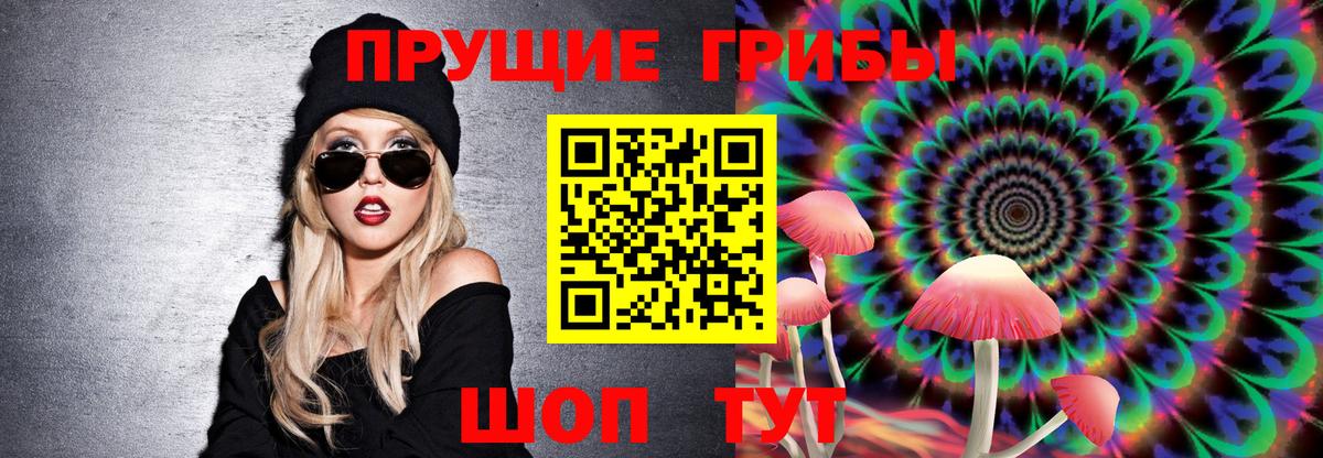 Невинномысск  Галлюциногенные грибы Psilocybine cubensis  Вход с VPN 